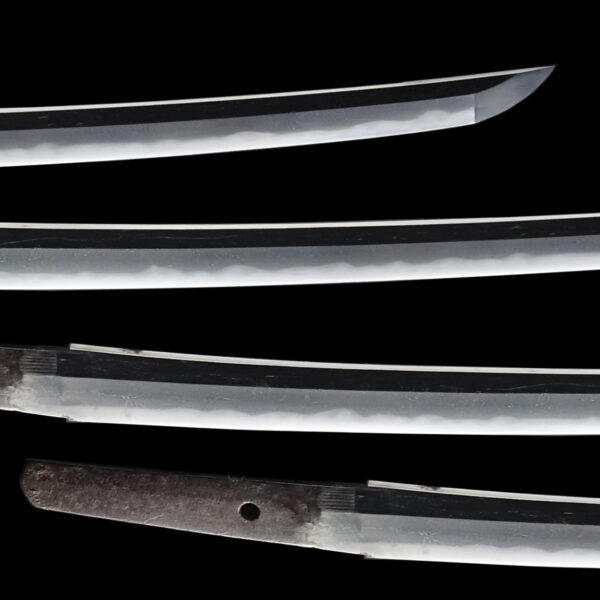 Antique Japanese Sword Wakizashi Signed by Uda Kunimasa<br>No Certificate<br> (#Kanagawa 49862) - Image 3