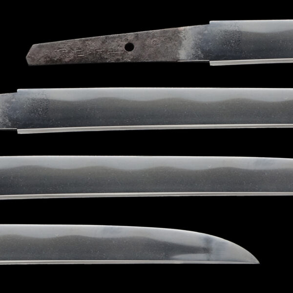 Antique Japanese Sword Wakizashi Signed by Shinkai<br>No Certificate<br>(#Hiroshima63123) - Image 2