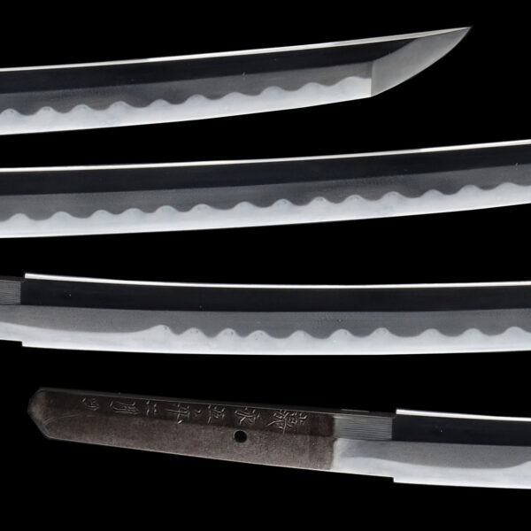 Antique Japanese Sword Shirasaya Wakizashi Signed by Sukesada<br>No Certificate<br>(#Hyogo 125474) - Image 3