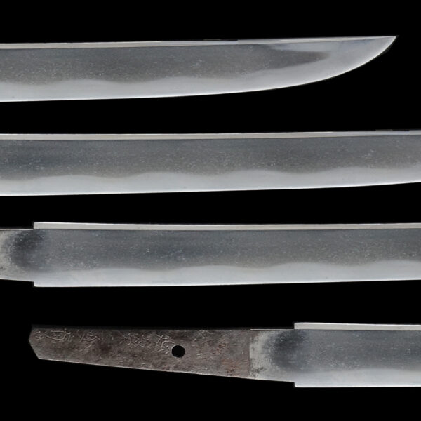 Antique Japanese Sword Wakizashi Signed by Shinkai<br>No Certificate<br>(#Hiroshima63123) - Image 3