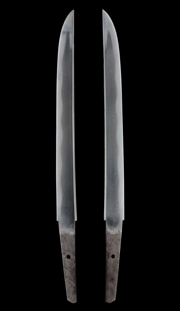 Antique Japanese Sword Wakizashi Signed by Shinkai<br>No Certificate<br>(#Hiroshima63123) - Image 6