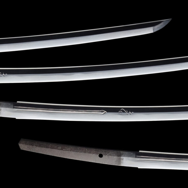 Antique Japanese Sword Wakizashi Signed by Umetada<br>No Certificate<br>(#Niigata 349) - Image 3