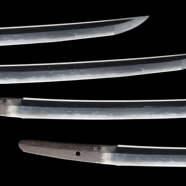 Antique Japanese Sword Shirasaya Wakizashi Unsigned<br>No Certificate<br>(#yamanashi 13377) - Image 3