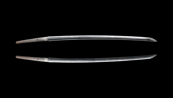 Antique Japanese Sword Shirasaya Katana Signed by Chounsai Tsunatoshi<br>No Certificate<br> (#Kagoshima 26363) - Image 9