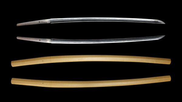 Antique Japanese Sword Shirasaya Katana Signed by Chounsai Tsunatoshi<br>No Certificate<br> (#Kagoshima 26363) - Image 10