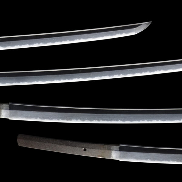 Antique Japanese Sword Katana Signed by Moriie <br>No Certificate<br> (#Aomori 1913) - Image 3