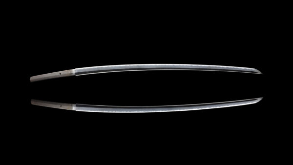Antique Japanese Sword Katana Signed by Moriie <br>No Certificate<br> (#Aomori 1913) - Image 9