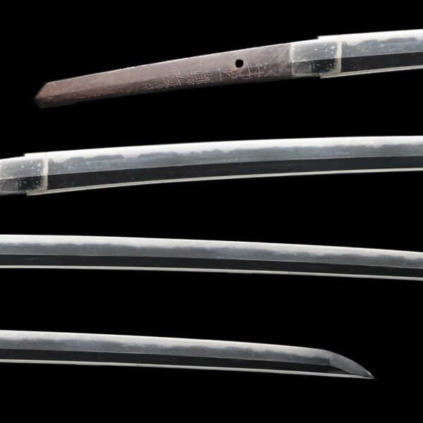 Antique Japanese Sword Katana Signed by Inoue Shinkai<br>No Certificate<br> (#Tokyo 255569) - Image 2