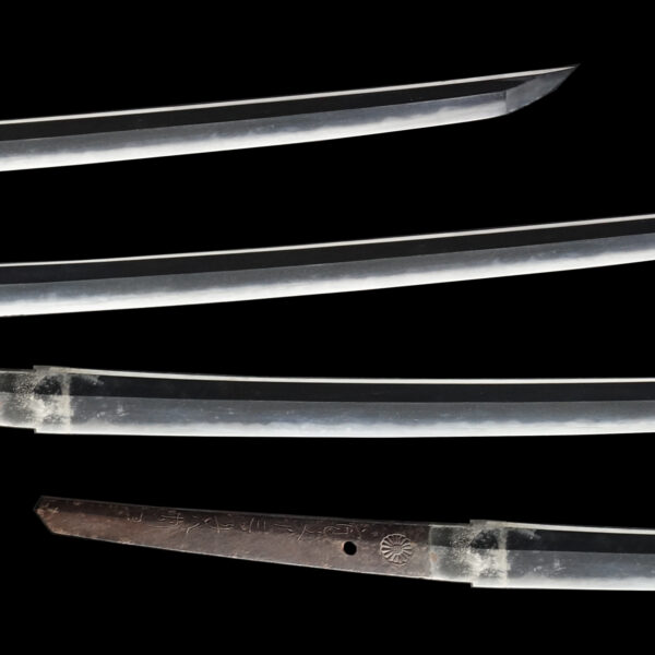 Antique Japanese Sword Katana Signed by Inoue Shinkai<br>No Certificate<br> (#Tokyo 255569) - Image 3