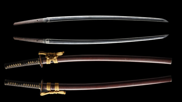 Antique Japanese Sword Katana Signed by Inoue Shinkai<br>No Certificate<br> (#Tokyo 255569) - Image 10