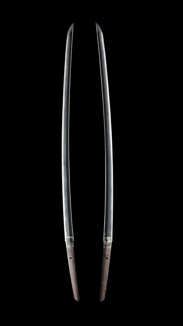 Antique Japanese Sword Katana Signed by Inoue Shinkai<br>No Certificate<br> (#Tokyo 255569) - Image 6